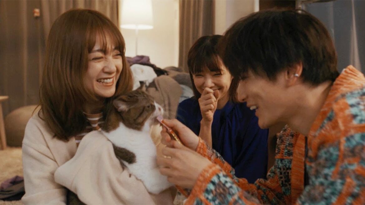 安達祐実&倉科カナ&渡邊圭祐、猫好き男女の3人暮らし 映画「三日月とネコ」予告映像
