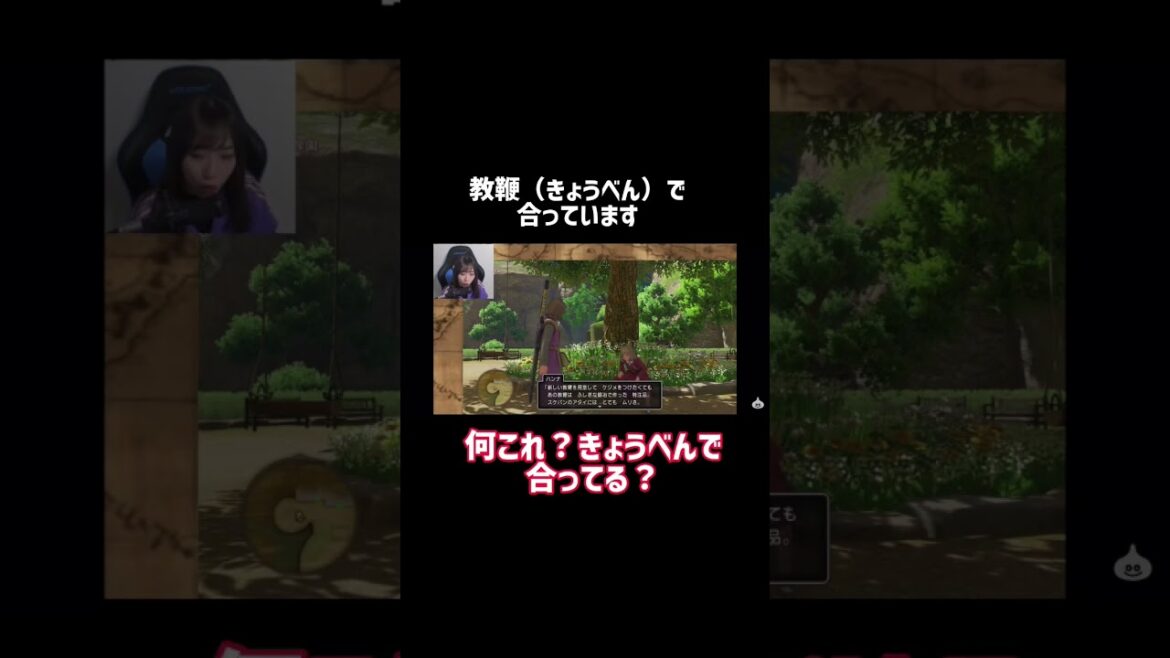 あんちゅのスケバン女ボイス【あんちゅ/石塚朱莉 切り抜き】【ドラクエ11s】