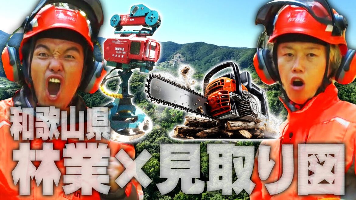 【ワイルド見取り図#1】和歌山県林業をWILDに体験してみた!