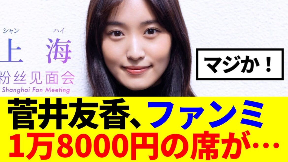 【元櫻坂46】高額チケットが…菅井友香、上海でのファンミが凄い事に…