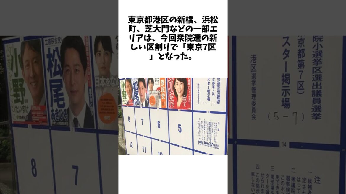10年で東京1区→2区→7区「誰が候補なのか」 衆院選区割り、変わりすぎて住民苦悩に関する驚きの雑学 #エンタメ #Shorts