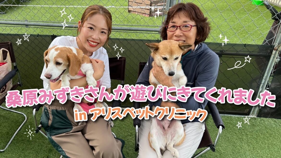 桑原みずきさんがアリスペットクリニックに遊びに来てくれました!