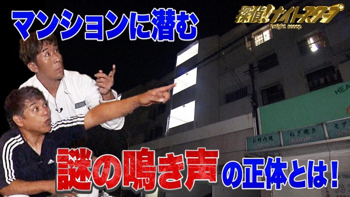 【恐怖】深夜のマンションに響く奇妙な鳴き声の正体とは?