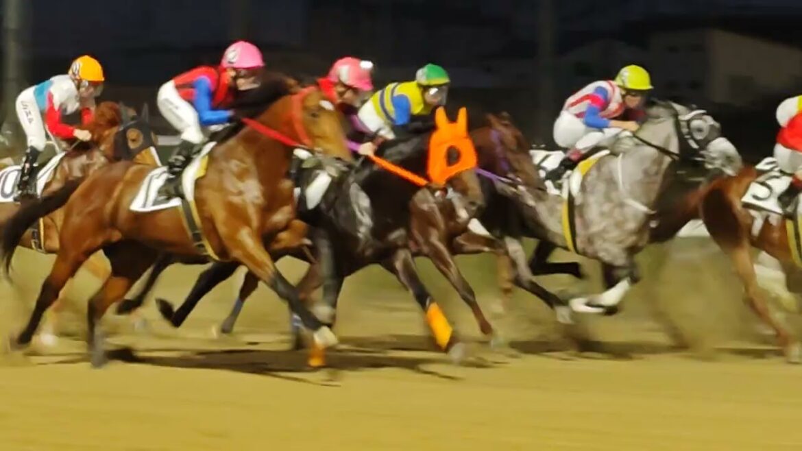 #浦和競馬 #第10r #陽月特別 #勝利 #7番 #モダナイズクィーン 🐴 #本橋孝太 #3連単 7-4-3 #高配当 50.270円 #浦和競馬場 #3日目 #南関競馬 #地方競馬
