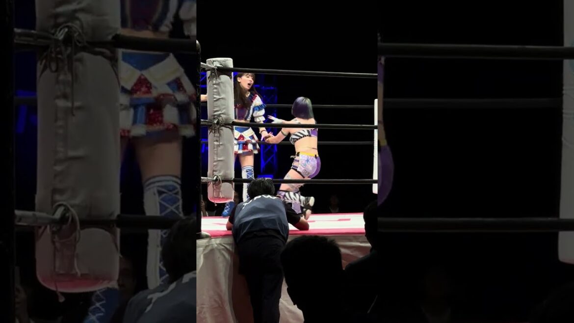 荒井優希が遠藤有栖をコーナーにぶつけてから場外にフロントハイキックで落とすも有栖がリングに戻るとドロップキックを突き刺す! 東京女子プロレス「Always be a challenger ’24」
