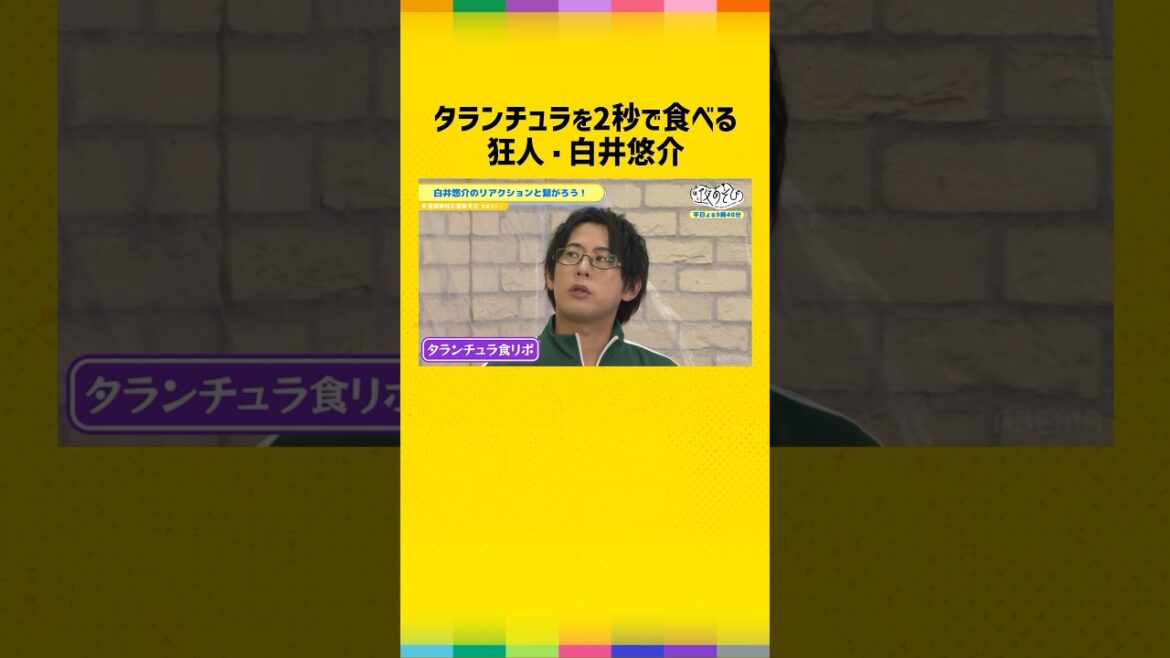 スナック感覚でタランチュラを食べる狂人・白井悠介 #金田朋子 #仲村宗悟 #白井悠介 #金田仲村と夜あそび #shorts