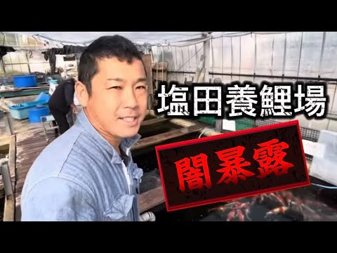 【遼河鯉庵】 ガチの閲覧注意!!塩田養鯉場を嫌いな理由と超闇深い秘密を暴露します(4日目) #koifish #koi