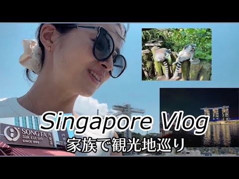 【Vlog】家族とお出かけ/シンガポール観光