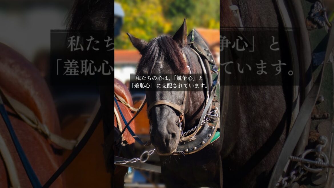 青蘭ひとみ 今日の星読み 2024/7/15