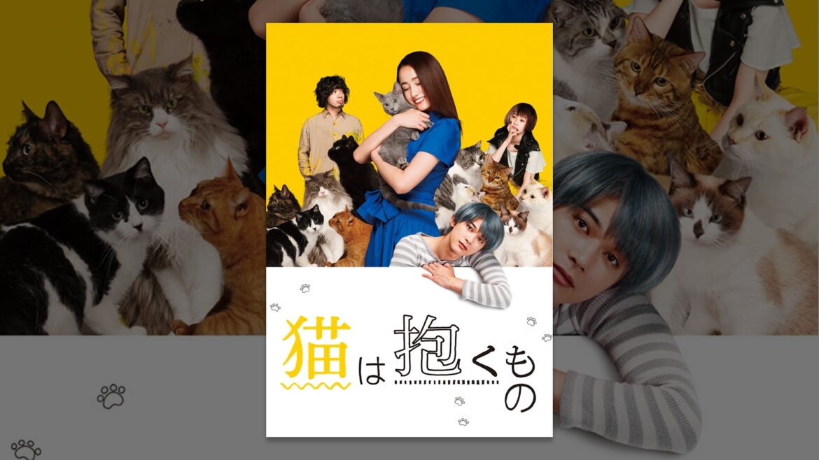 猫は抱くもの