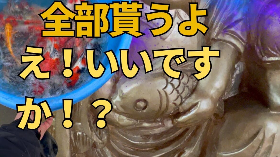 【幸福の神様】先日安売りした〇〇を届けてヤケになり鯉を安売り#koifish #山形の蕎麦#蕎麦処みやび
