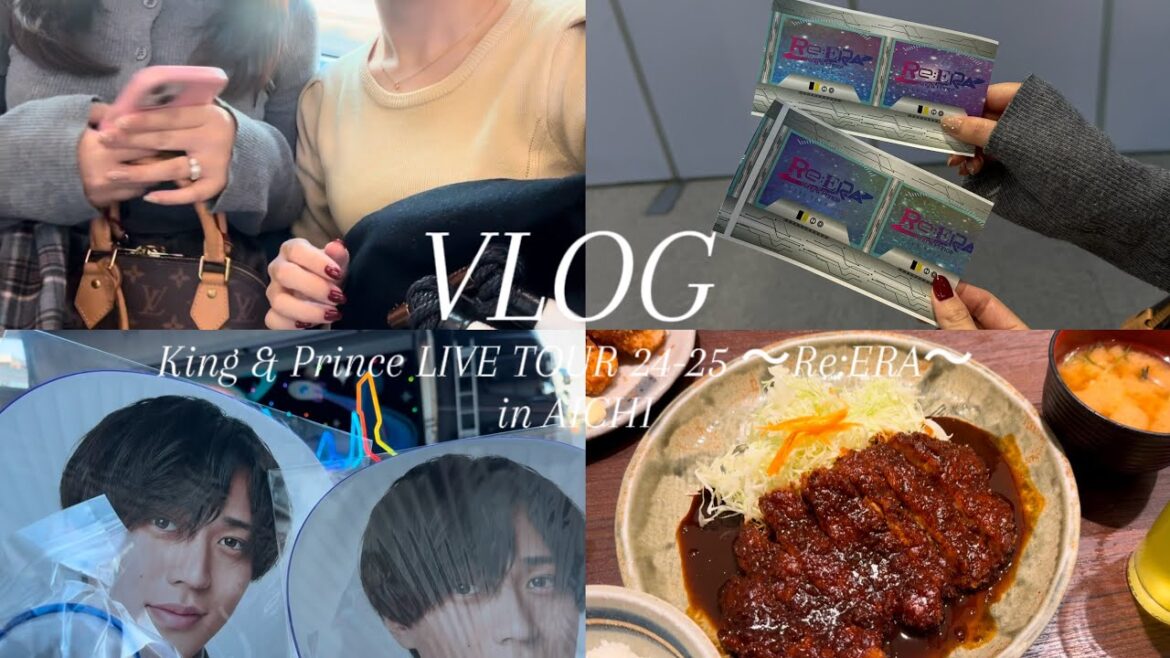 【VLOG】ライブに行った1日🖤🎟️ King & Prince LIVE TOUR 24-25 ~Re:ERA~名古屋公演