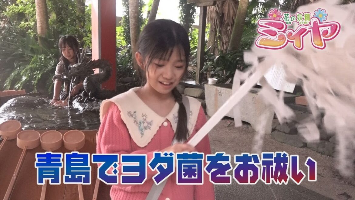 花の妖精ミィヤの記念切手販売の成功を祈願して、縁結びの神様『青島神社』を参拝させて頂きました♪
