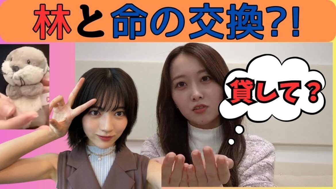 【矢久保美緒】林と命の交換をしようとするみおちゃん をお届け 乃木坂46 / 文字起こし #矢久保美緒 #林瑠奈