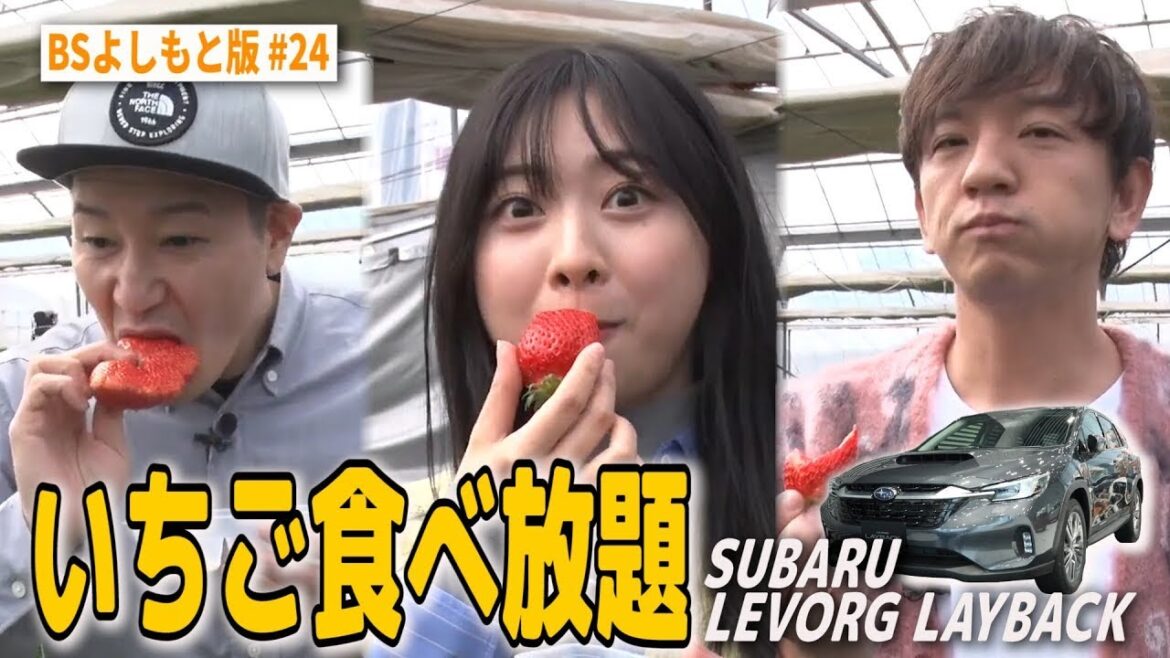 【BS版 #24 富田鈴花さん旅】千葉館山でイチゴ食べ放題❤️ SUBARU LEVORG LAYBACKドライブ