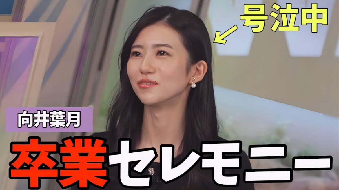 乃木坂46大感謝にて向井葉月さんの卒業セレモニーでシクシク泣いてきたのんちゃん【大島璃音】三番目の風で泣いた