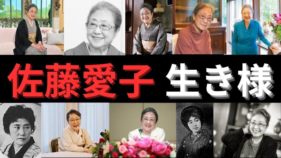 佐藤愛子の人生の経験から得た知見