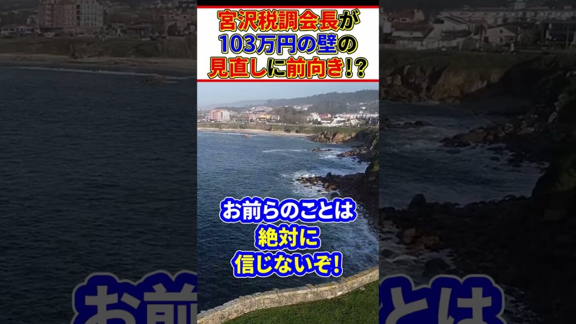 宮沢税調会長と西村康稔大臣が「103万円の壁」見直しに前向きな姿勢を示したことが話題に #shorts