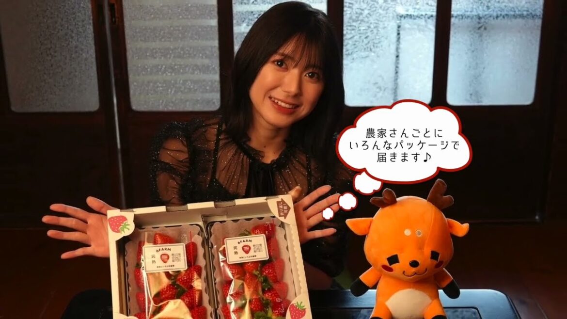 奈良市観光大使・大西桃香さんが奈良市ふるさと納税返礼品をご紹介!