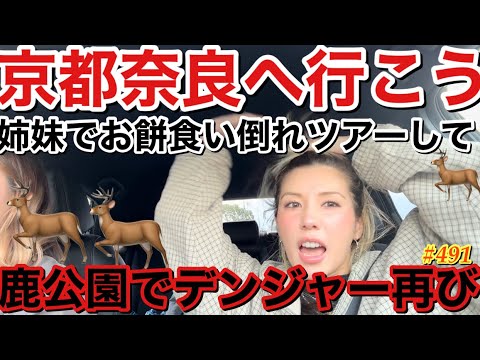 京都でお餅食い倒れツアーしてたら鹿公園にデンジャー再びしに行きたくなって行ったんだけどある意味デンジャーになってて伝説のウォーキングデッドが神回になっちゃって草とりま鹿せんべいって味あるの?