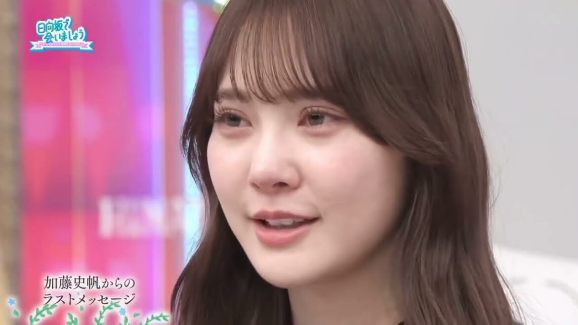 日向坂46 としちゃん 猫 にぶちゃん ひよたんからひなあいラストメッセージ!加藤史帆 東村芽依 丹生明里 濱岸ひより