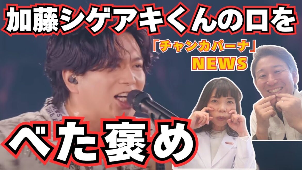 【NEWS】加藤シゲアキくんの褒めるところが多過ぎる!!!「チャンカパーナ」【口腔ソムリエ】
