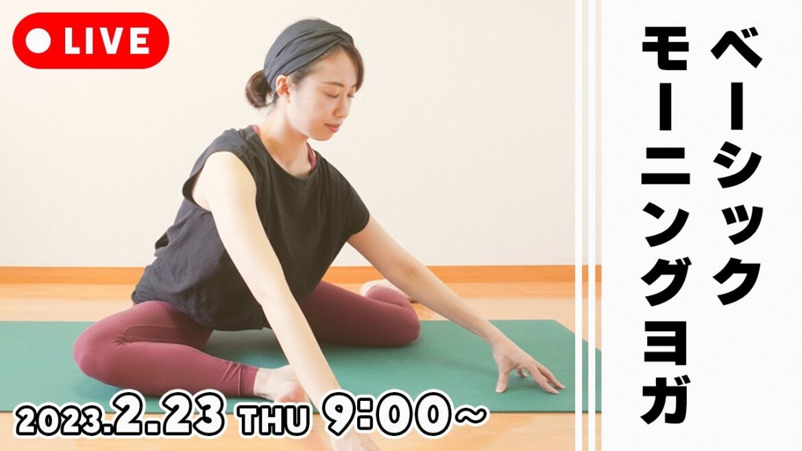 【ヨガ60分】朝ヨガライブ配信2月23日(木祝)9時スタート!(アーカイブ)