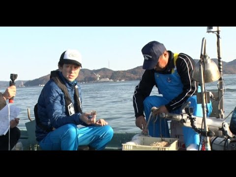 B1- 横山裕&桜田ひより、大みそかゴチで“食材ロケ” 青うなぎ&絶品レンコンのゲット目指す