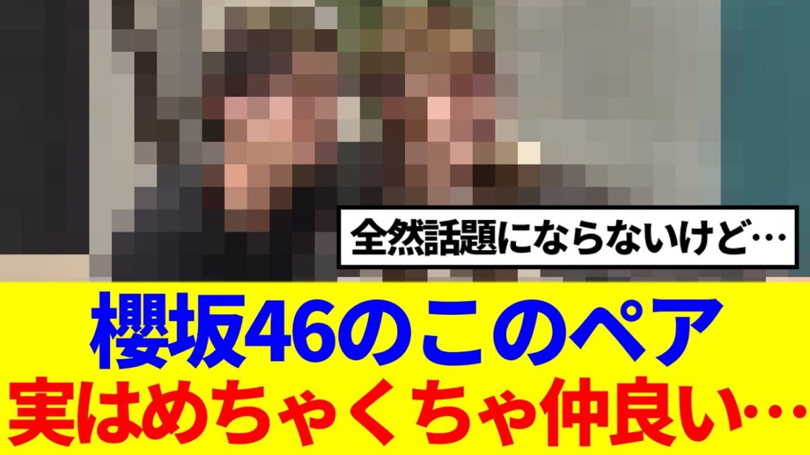 【仲間】櫻坂46のこのペア、実はめちゃくちゃ仲良い件…