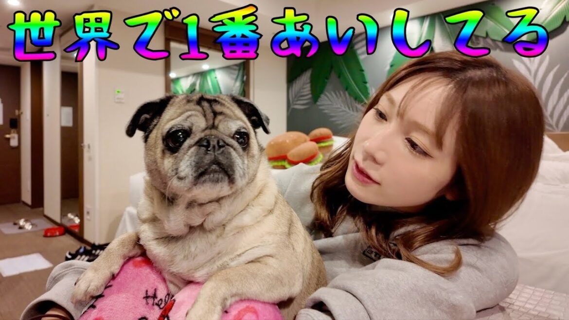 あなたのためならなんでもするよ🤝🏻