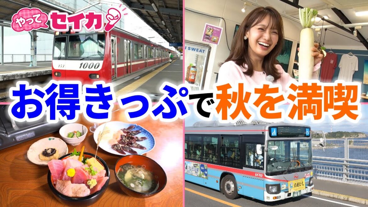 【やってセイカ!見逃し配信】井上清華キャスターが”お得きっぷ”で行楽の秋を満喫トリップ!