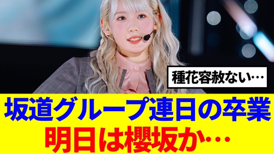 【櫻坂46】明日は櫻坂か…坂道グループ連日の卒業発表が怖い…