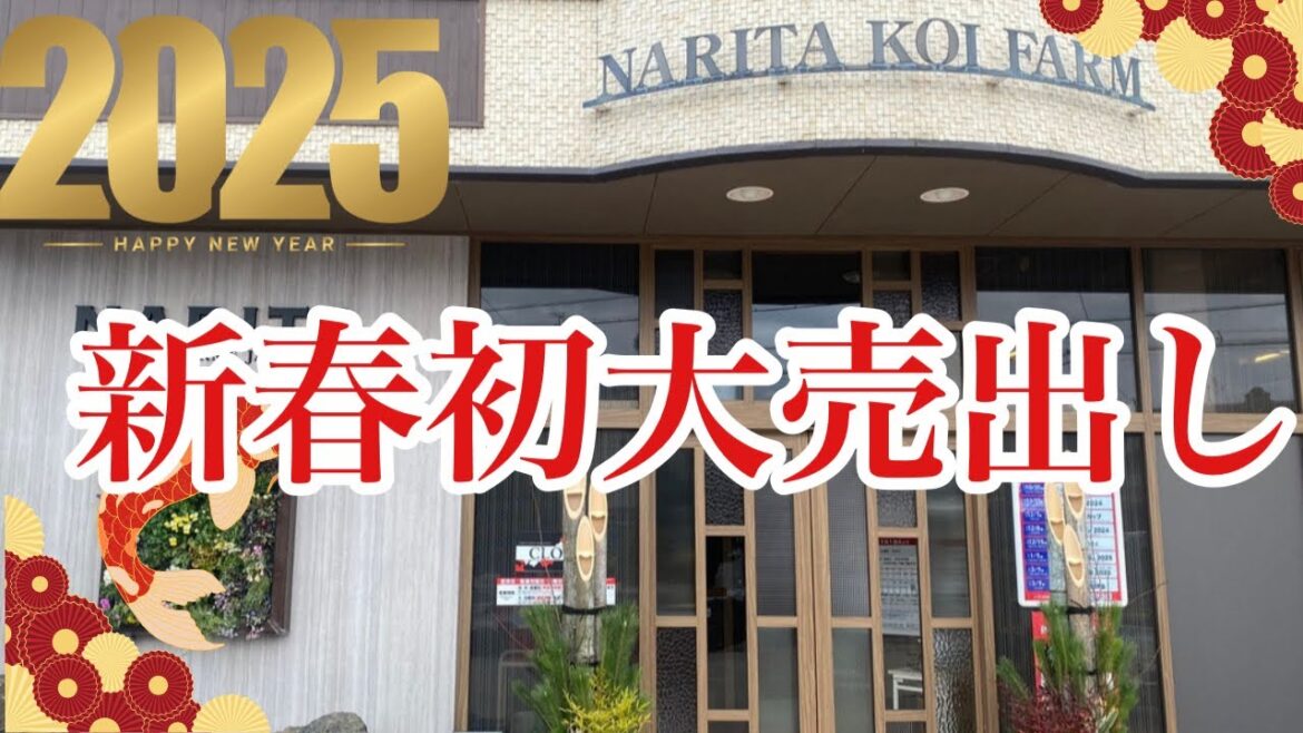 成田養魚園の初売り行ったらお得すぎて鼻血出た。 #錦鯉 #koi