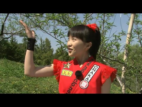 🍑得ダネ🎅ももクロ🍑☠️百田夏菜子様👸乃宝物💎とは⁉️👸自ラ‼️『武井壮さん🦁の名刺📇』と『皺皺すぎ🦑四葉🍀のクローバー♣️のラミネート🌠加工🦑』をあまりにも急に‼️『見せびらかされた』ことあるよ…。