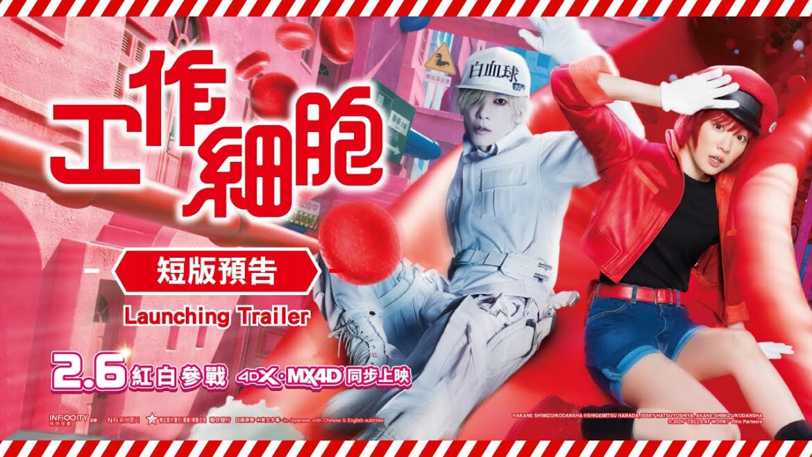 《工作細胞》 短版預告 2月6日 紅白參戰🩸