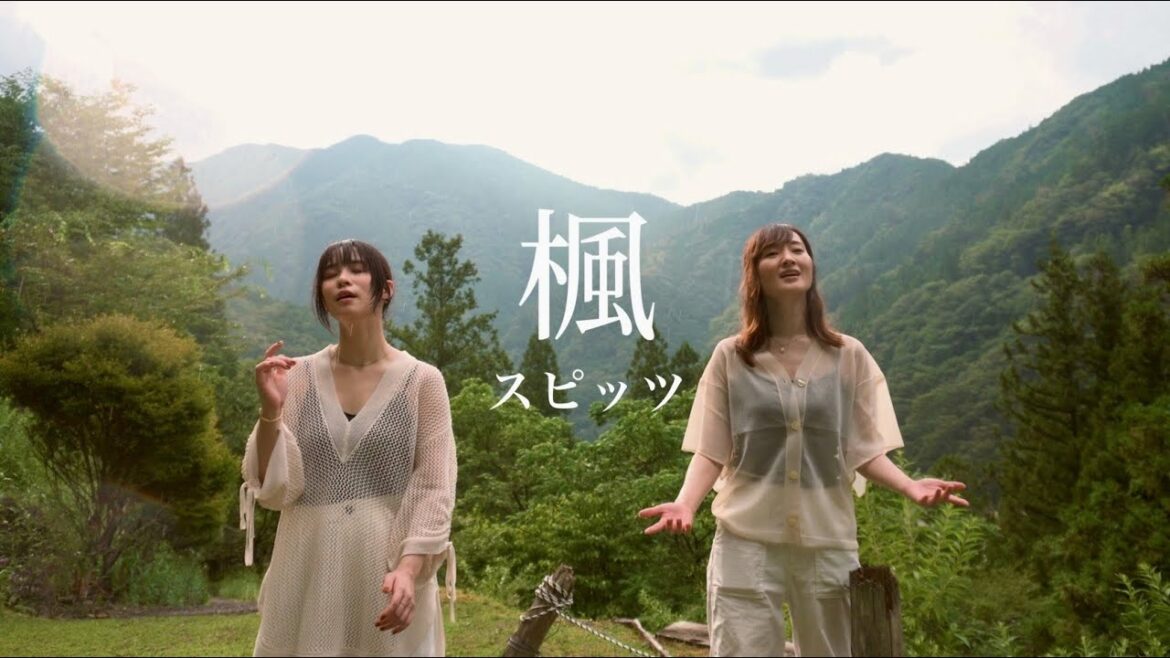 【楓 / スピッツ】Covered by 竹渕慶×神田莉緒香