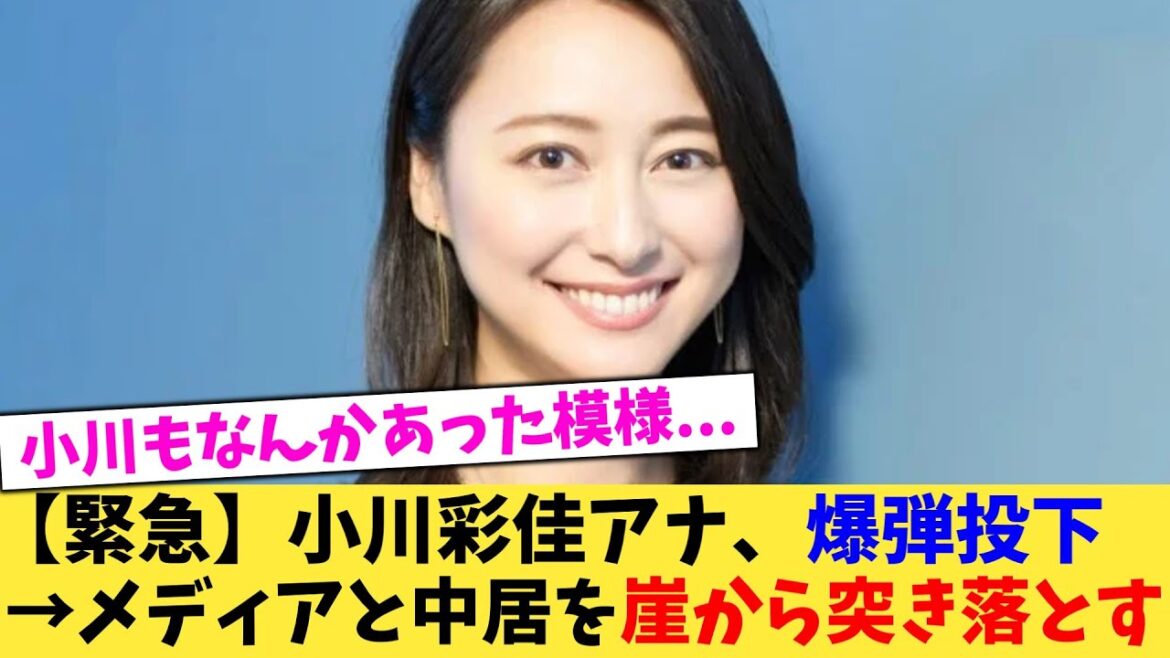 【緊急】小川彩佳アナ、爆弾発言→メディアと中居を崖から突き落とす 【2chまとめ】【2chスレ】【5chスレ】