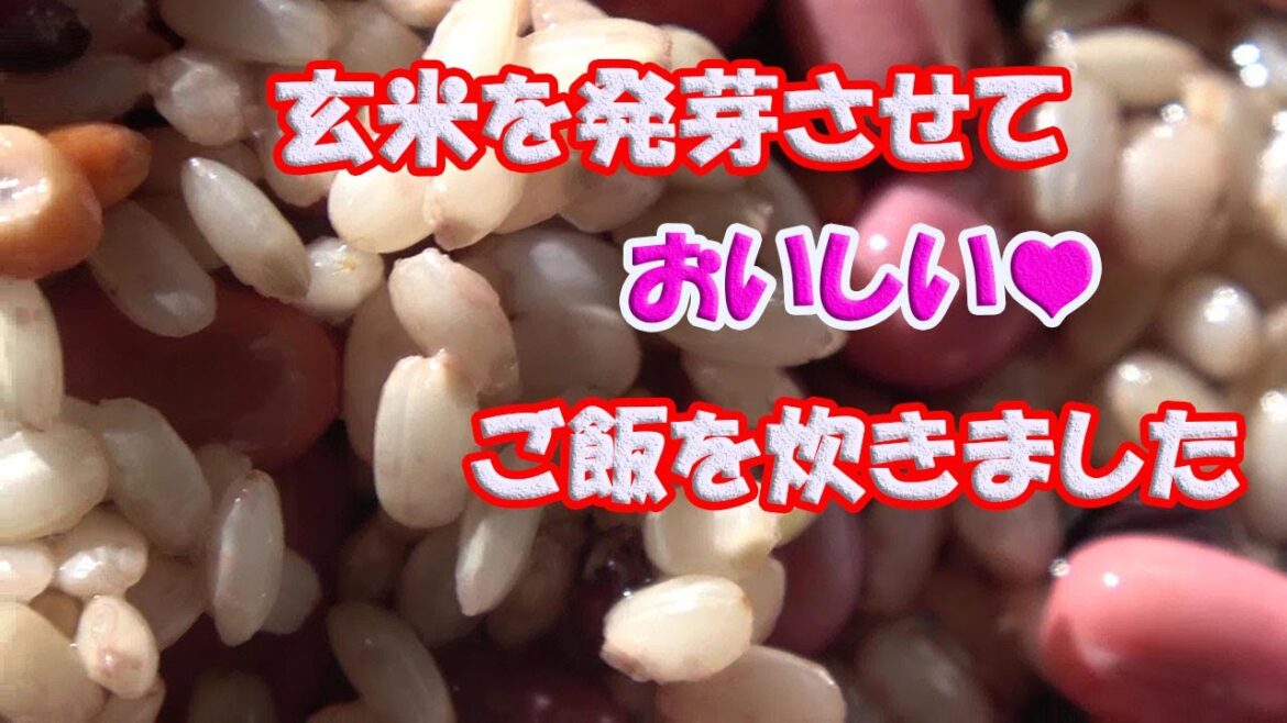 発芽玄米作り方、炊き方