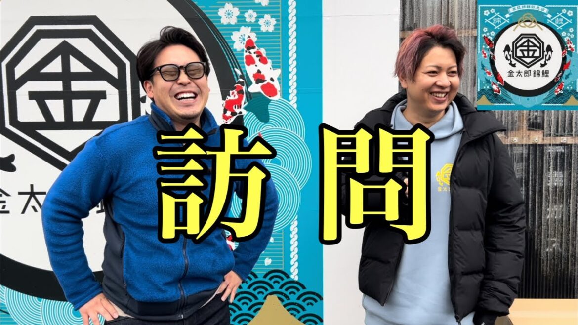 金太郎錦鯉さんに訪問したら出禁にされました。 #錦鯉飼育 #玉サバ