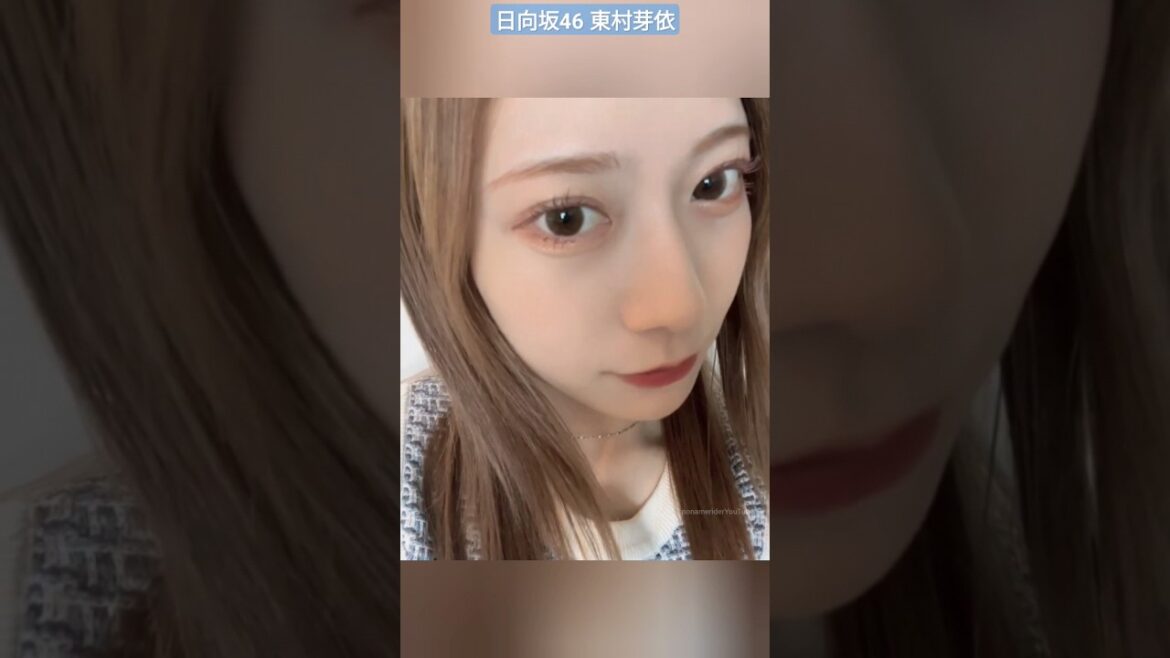 日向坂46 東村芽依 くまさんとお気に入りのアイシャドウ ズーシー クォーツ9色アイシャドウパレット ドライローズ #meigram