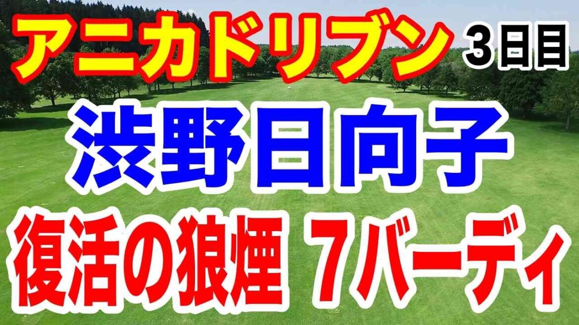 渋野日向子が圧巻7つのバーディ【米女子ゴルフツアー第32戦】ザ・アニカ ドリブンbyゲインブリッジatペリカン3日目の結果