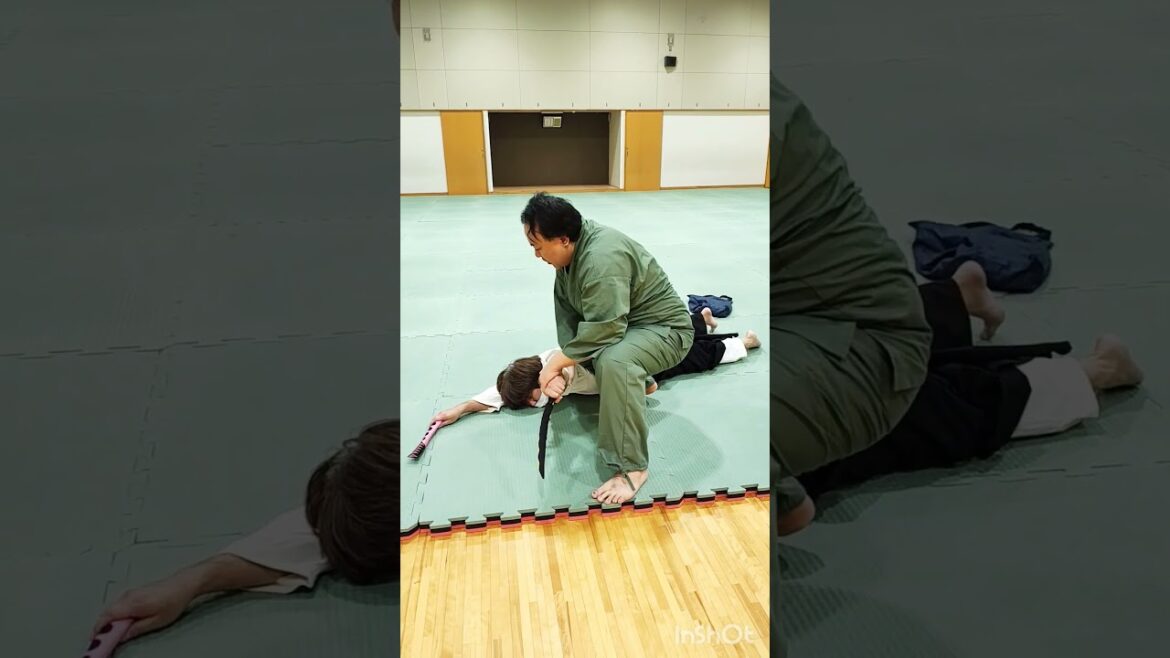 ハンマー女を制圧する瞬間!合気道家が解説!一教表! #合気道 #柔道 #護身術