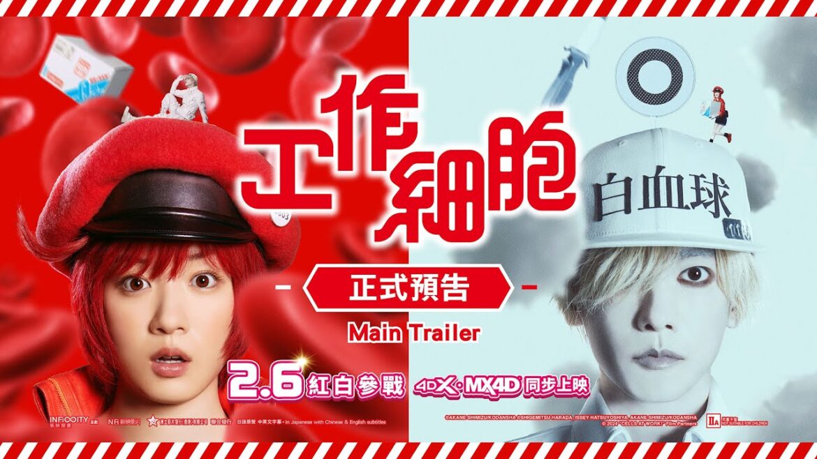 《工作細胞》正式預告 2月6日 紅白參戰🩸