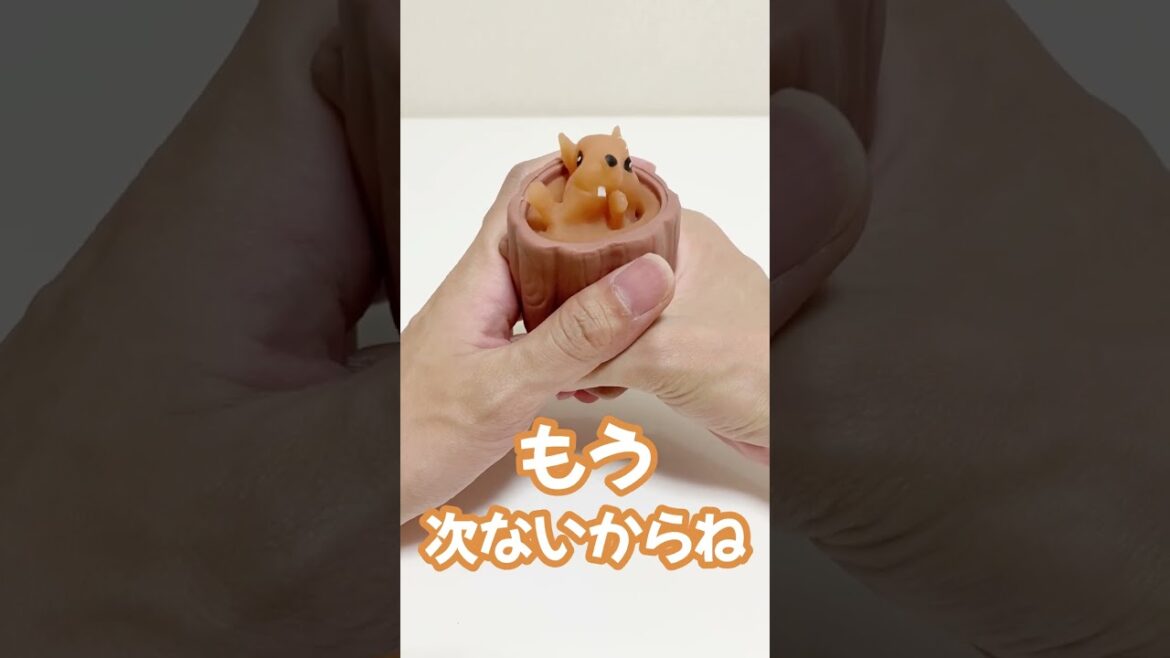 リスをイジメるとこうなる#shorts