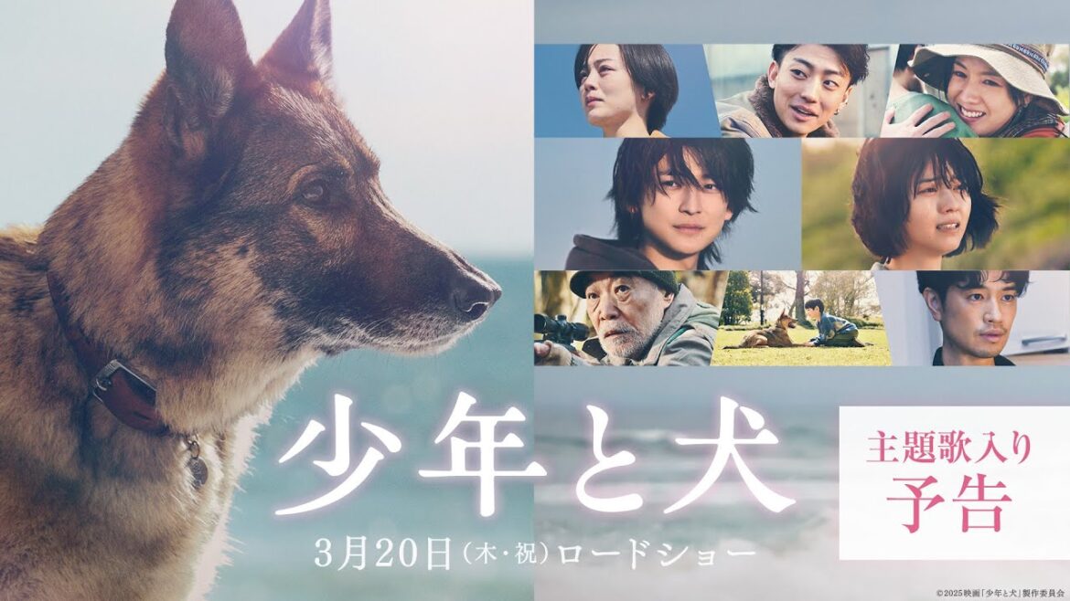 【主題歌 SEKAI NO OWARI「琥珀」】映画『少年と犬』主題歌入り予告映像【3月20日(木・祝)公開】