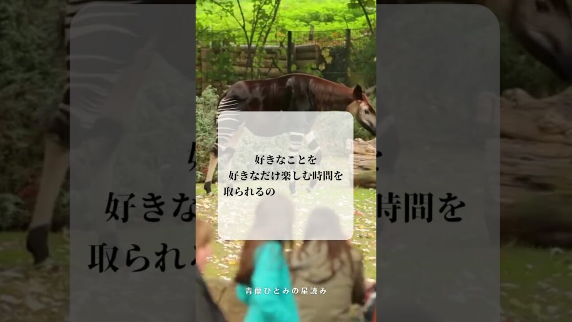 青蘭ひとみ 今日の星読み 2023/10/5