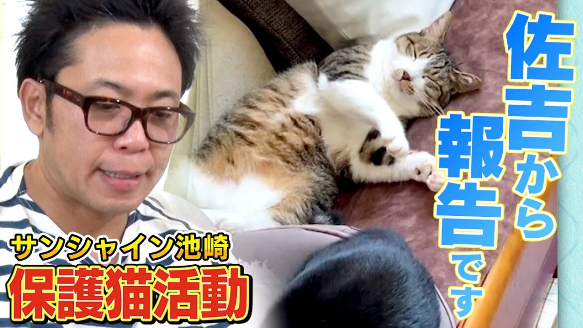 【ご報告】サンシャイン池崎さんに佐吉の飼い主さんから動画が届きました!