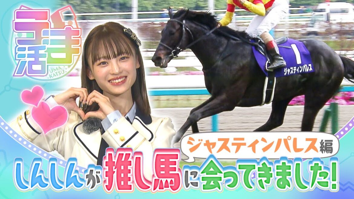 【うま活】しんしんが推し馬に会ってきました!ジャスティンパレス編【名場面・特別配信(2023年10月取材)】