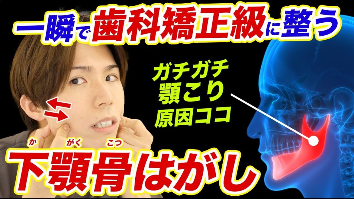 【初公開:下顎骨はがし】顎の歪み・顎関節症・食いしばり・エラ張りを一瞬で解消するプロの技やってみて!