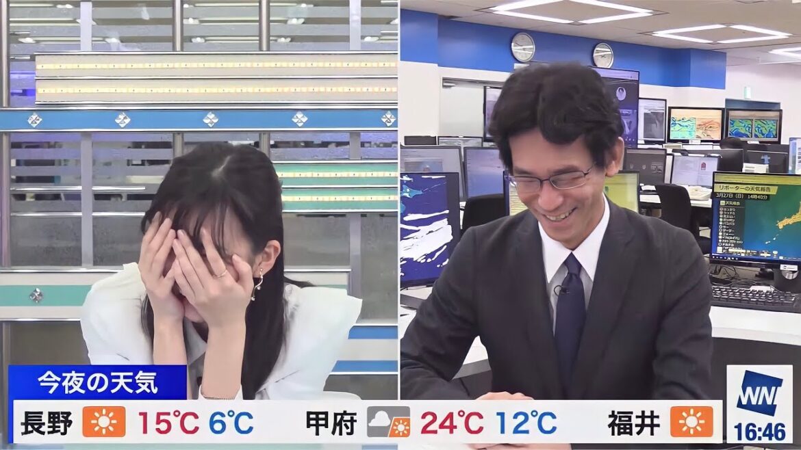 ダンゴムシに解説していただきました→私、ダンゴムシじゃないです